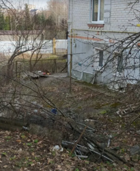 ������ �������� ������ �� ������� �������� �� ���. ����� ������, ����� 10 ����� ���� 1