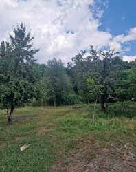 Продаж земельної ділянки під житлову забудову на вул. Крутнів Яр, площа 30 соток фото 13 Продаж земельної ділянки під житлову забудову на вул. Крутнів Яр, площа 30 соток фото 13