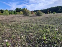 Продаж земельної ділянки під житлову забудову на вул. Цегельна, площа 30 соток фото 2 Продаж земельної ділянки під житлову забудову на вул. Цегельна, площа 30 соток фото 2