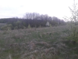 Земельна ділянка під забудову фото 1 Земельна ділянка під забудову фото 1