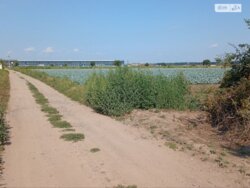 Продаж земельної ділянки сільськогосподарського призначення на 1-й пров. Немирівське шосе, площа 281 сотка фото 13 Продаж земельної ділянки сільськогосподарського призначення на 1-й пров. Немирівське шосе, площа 281 сотка фото 13