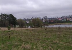 Продаж земельної ділянки сільськогосподарського призначення, площа 9 соток фото 2 Продаж земельної ділянки сільськогосподарського призначення, площа 9 соток фото 2