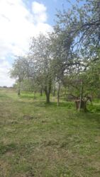 ������ �������� ������ � �������� ³�����, �. �������� ���� 5