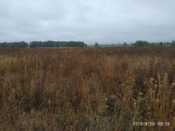 ��������� ������ ³�����, ³�������, ���������, ��������� ���� 5