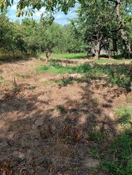 ������ �������� ������ �� ������� ��������, ����� 15 �����, �. г���� ���� 1