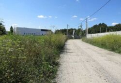 ������ �������� ������ �� ��� ���� 1