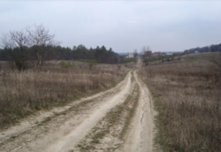 ������ �������� ������ �� ������� �������� �� ���. ������, ����� 13.5 ����� ���� 2