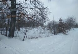 Продаж земельної ділянки під житлову забудову, площа 25 соток фото 3 Продаж земельної ділянки під житлову забудову, площа 25 соток фото 3