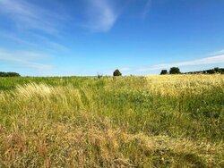 Продаж земельної ділянки під житлову забудову на вул. В. Чумака, площа 12 соток фото 1 Продаж земельної ділянки під житлову забудову на вул. В. Чумака, площа 12 соток фото 1
