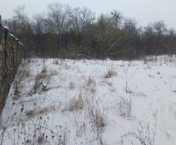 Продаж земельної ділянки комерційного призначення, площа 50 соток фото 3 Продаж земельної ділянки комерційного призначення, площа 50 соток фото 3