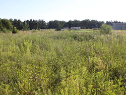 ������ �������� ������ �� ������� ��������, ����� 8 �����, ���. ��������� ���� 4