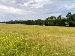 Продаж земельної ділянки під житлову забудову, площа 10 соток фото 4 Продаж земельної ділянки під житлову забудову, площа 10 соток фото 4