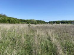 ��������� ������ ³�����, ³�������, ���������, �������� ���� 5