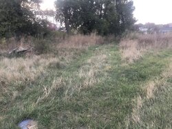 ������ �������� ������ ������������ ����������� �� ���� ���������, ����� 7.5 ����� ���� 3