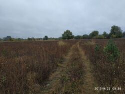 ��������� ������ ³�����, ³�������, ���������, ��������� ���� 3