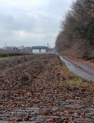 ������ �������� ������ �� ������� ��������, ����� 5 ����� ���� 1