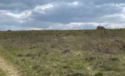 Продаж земельної ділянки під житлову забудову в селі Стрижавка, Вінницькій області, Луговая улица, площа 18 соток фото 4 Продаж земельної ділянки під житлову забудову в селі Стрижавка, Вінницькій області, Луговая улица, площа 18 соток фото 4