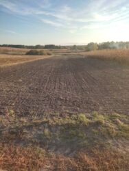 ��������� ������ ���������, ³��������, ³������� ���� 2