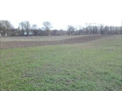 Продаж земельної ділянки під житлову забудову на вул. Польова, площа 25 соток фото 1 Продаж земельної ділянки під житлову забудову на вул. Польова, площа 25 соток фото 1