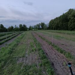 Земельна ділянка 1.7 га. фото 1 Земельна ділянка 1.7 га. фото 1