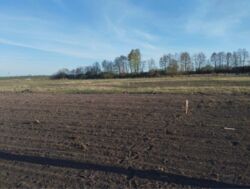 Продаж земельної ділянки, Гавришівка фото 4 Продаж земельної ділянки, Гавришівка фото 4