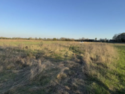 Ділянка під забудову 18 сот. фото 1 Ділянка під забудову 18 сот. фото 1