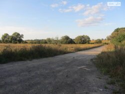 ������ �������� ������ ��������������������� �����������, �� ����������� ����, ����� 100 ����� ���� 9