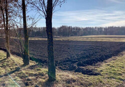 Продаж земельної ділянки під житлову забудову на вул. Озерна, площа 24 сотки фото 1 Продаж земельної ділянки під житлову забудову на вул. Озерна, площа 24 сотки фото 1