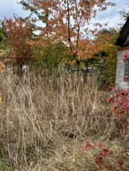 Продаж ділянки з будинком фото 2 Продаж ділянки з будинком фото 2