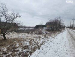 Продаж земельної ділянки під житлову забудову на вул. Дружби, площа 25 соток фото 7 Продаж земельної ділянки під житлову забудову на вул. Дружби, площа 25 соток фото 7