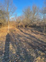 Дачна ділянка, 10 соток, с. Лукаа-Мелешківська фото 2 Дачна ділянка, 10 соток, с. Лукаа-Мелешківська фото 2