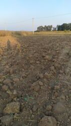 Продаж земельної ділянки, смт. Стрижавка фото 1 Продаж земельної ділянки, смт. Стрижавка фото 1