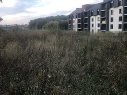 ������ �������� ������ ������������ ����������� �� ���� ���������, ����� 7.5 ����� ���� 2