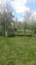 ������ �������� ������ � �������� ³�����, �. �������� ���� 7