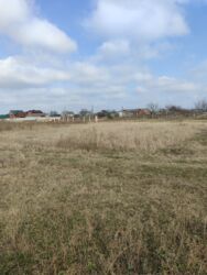 ��������� ������ �������, �����������, ³������� ���� 11