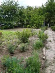 ������ ������ 5 �. ����� ���� 3