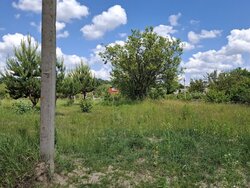 ������ �������� ������ ��������������������� �����������, ����� 5 ����� ���� 3