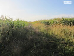 ������ �������� ������ ��������������������� �����������, �� ����������� ����, ����� 100 ����� ���� 6