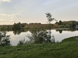 Продаж земельної ділянки сільськогосподарського призначення, площа 15.5 сотки фото 4 Продаж земельної ділянки сільськогосподарського призначення, площа 15.5 сотки фото 4