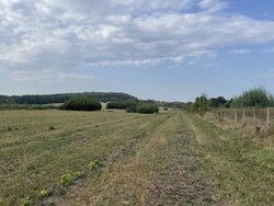 Продаж земельної ділянки сільськогосподарського призначення, площа 24 сотки фото 2 Продаж земельної ділянки сільськогосподарського призначення, площа 24 сотки фото 2