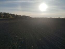 Продаж земельної ділянки, Гавришівка фото 2 Продаж земельної ділянки, Гавришівка фото 2