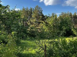 Продаж земельної ділянки сільськогосподарського призначення, на СТ Комунальник, площа 0.0423 Га фото 4 Продаж земельної ділянки сільськогосподарського призначення, на СТ Комунальник, площа 0.0423 Га фото 4