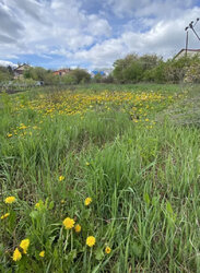 Продаж земельної ділянки під житлову забудову на вул. Руданського 23, площа 18.57 сотки фото 3 Продаж земельної ділянки під житлову забудову на вул. Руданського 23, площа 18.57 сотки фото 3