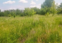 Продаж земельної ділянки під житлову забудову на Шевченка, площа 24.3 сотки фото 2 Продаж земельної ділянки під житлову забудову на Шевченка, площа 24.3 сотки фото 2