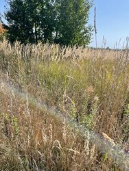 Продаж земельної ділянки під житлову забудову, площа 8 соток фото 2 Продаж земельної ділянки під житлову забудову, площа 8 соток фото 2