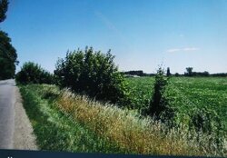 Продаж земельної ділянки під житлову забудову на С. ГАВРИШІВКА, площа 20 соток фото 3 Продаж земельної ділянки під житлову забудову на С. ГАВРИШІВКА, площа 20 соток фото 3