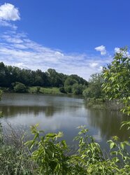 ������ �������� ������ �� ������� �������� �� ���. �������, ����� 15 ����� ���� 3