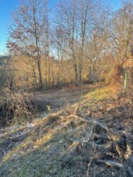 Дачна ділянка, 10 соток, с. Лукаа-Мелешківська фото 12 Дачна ділянка, 10 соток, с. Лукаа-Мелешківська фото 12