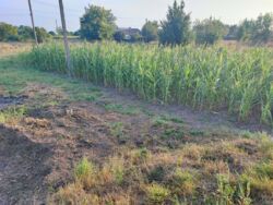 ������ �������� ������ ���� 7