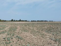 ������ �������� ������ ��������������������� �����������, ����� 325 ����� ���� 2